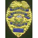LEMOORE, CA POLICE DEPARTMENT OFFICER BADGE PIN